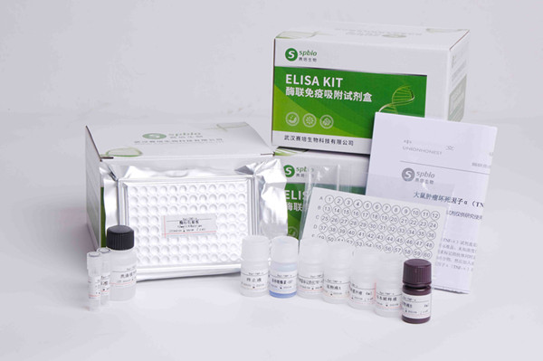 085736202.jpg DSCF3387_副本.jpg