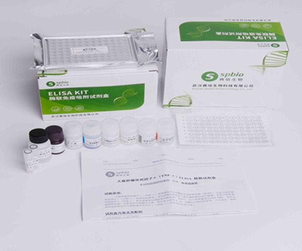 113400884.jpg DSCF3389_副本.jpg